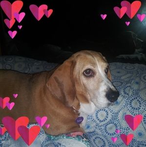 Meet your Posher, Jane